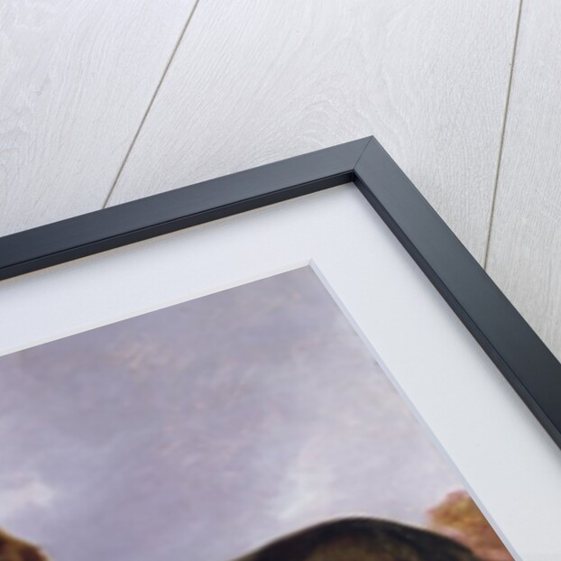 The First Watch by Richard Ansdell