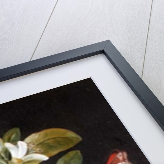 Pear Blossom by Barbara Regina Dietzsch