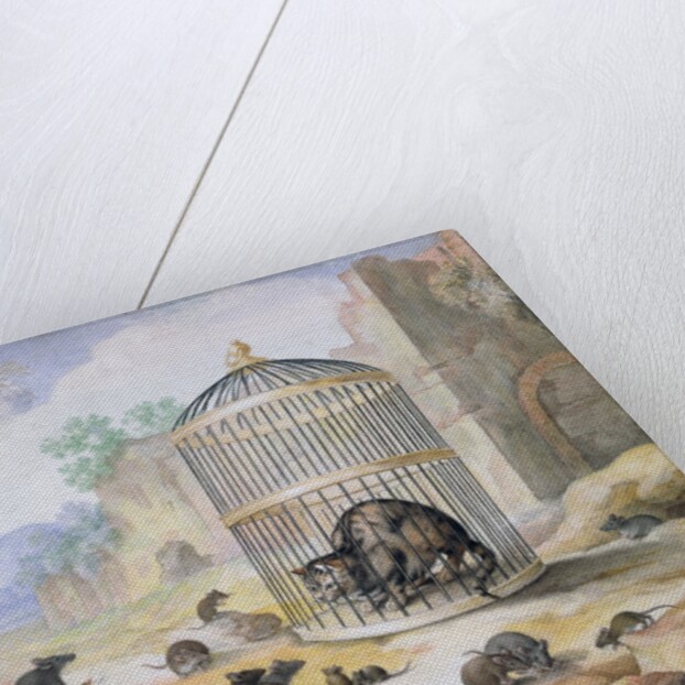 A Cat in a Cage by Gottfried Mind or Mindt