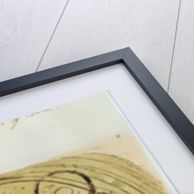 Mildew Blighting Ears of Corn by William Blake