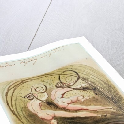 Mildew Blighting Ears of Corn by William Blake