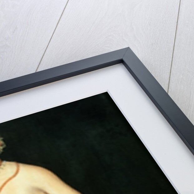 Venus, 1532 by Lucas the Elder Cranach