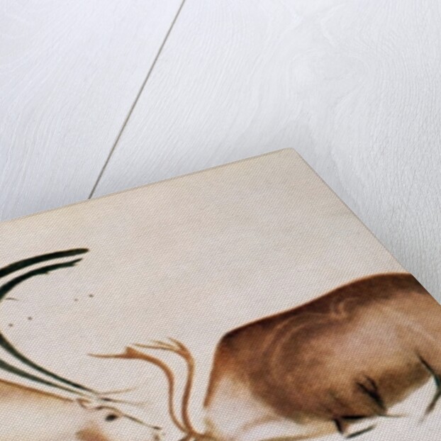 Male and female deer, Magdalenian school, c.13000 BC by Paleolithic Paleolithic