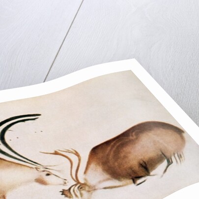 Male and female deer, Magdalenian school, c.13000 BC by Paleolithic Paleolithic