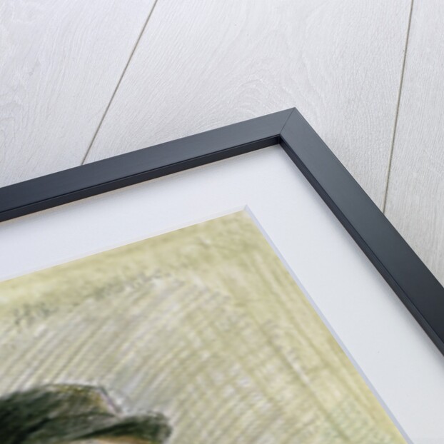 Portrait of a Lady with a Fur Collar and Muff, 20th century by Paul Cesar Helleu