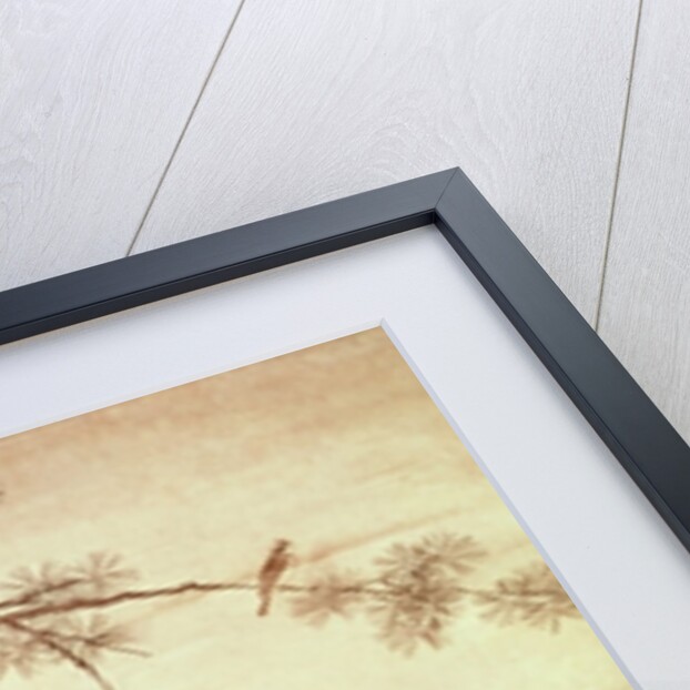 Pheasants and peonies by Motonobu Kano