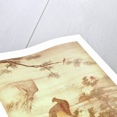 Pheasants and peonies by Motonobu Kano