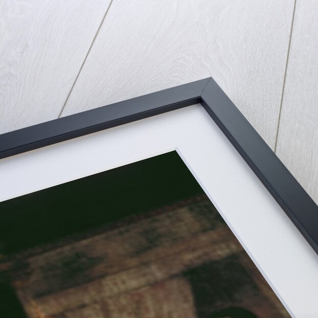 The Patient and the Doctor, 1660s by Gabriel Metsu