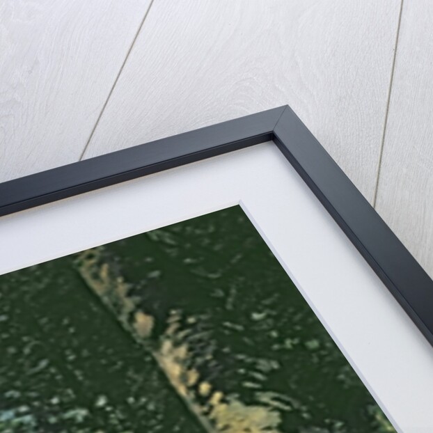 Le Déjeuner sur l'herbe, 1866 by Claude Monet