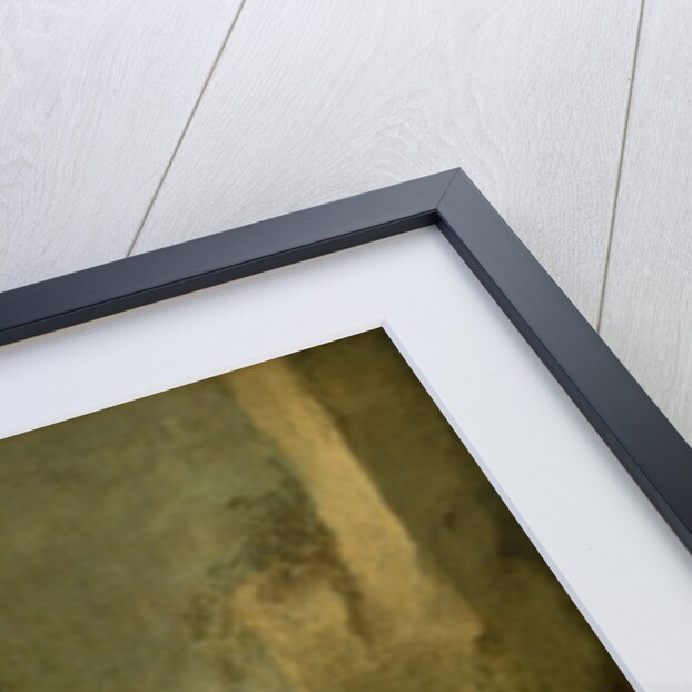 Boy with a Dog, c.1650 by Bartolome Esteban Murillo