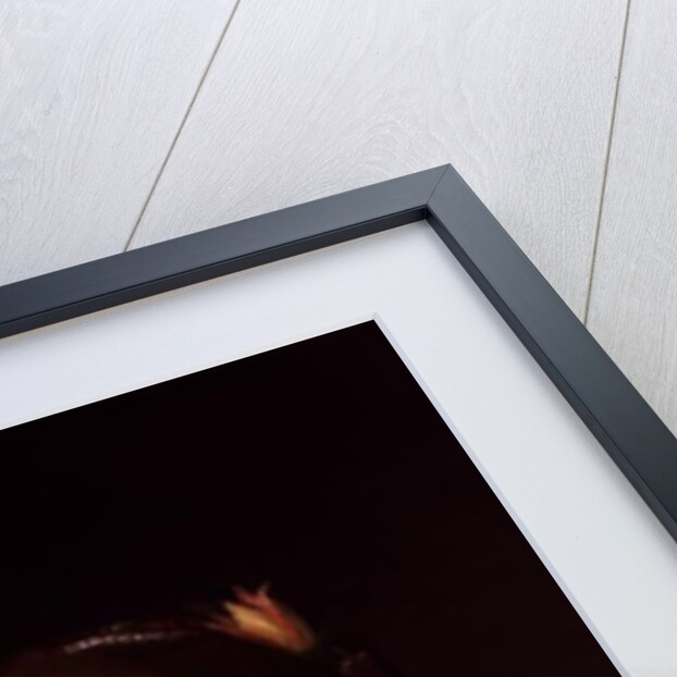 Portrait of a Young Woman by Paulus Moreelse