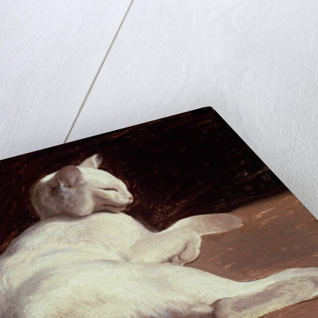 The White Cat, c.1817-18 by Theodore Gericault