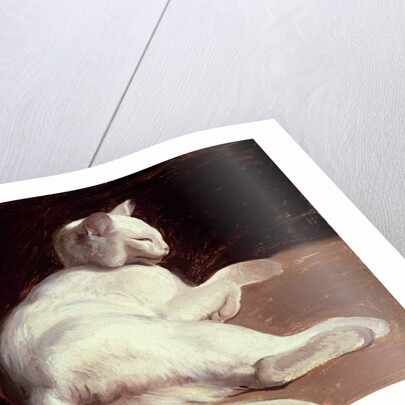 The White Cat, c.1817-18 by Theodore Gericault