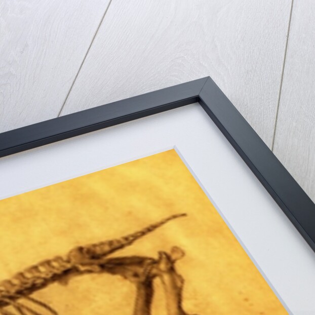 Finished Study for the First Skeletal Table of a Horse, c. 1766 by George Stubbs