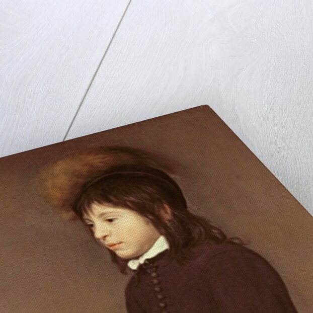 Portrait of a Boy Aged 11, 1650 by Jacob van Oost