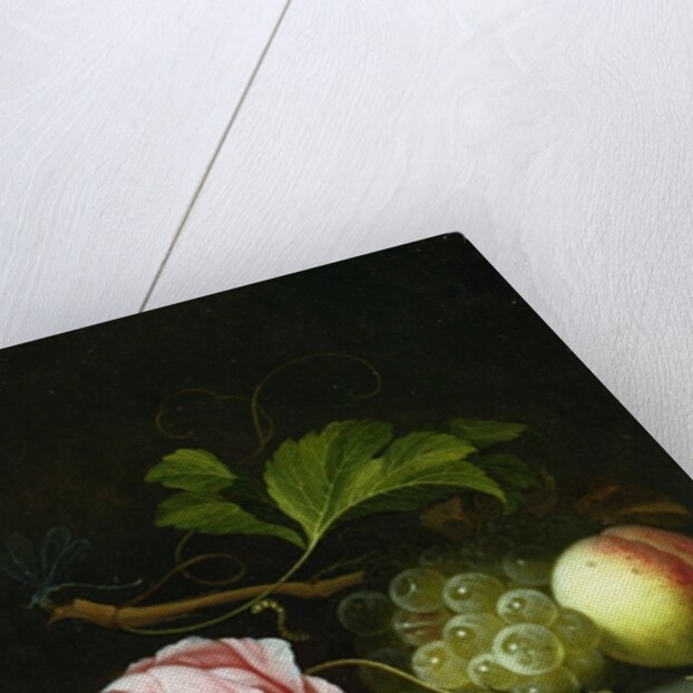 A Still Life with a Rose, Grapes and Peach, 17th century by Johannes Borman