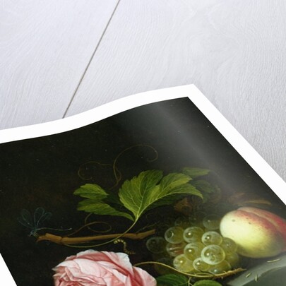 A Still Life with a Rose, Grapes and Peach, 17th century by Johannes Borman
