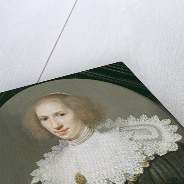 Portrait of a Lady with a Lace Collar and Pearls by Michiel Jansz. van Miereveld