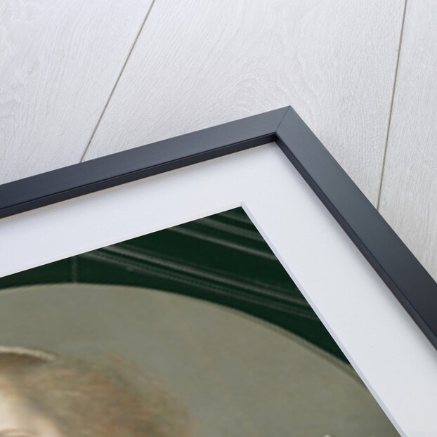 Portrait of a Lady with a Lace Collar and Pearls by Michiel Jansz. van Miereveld