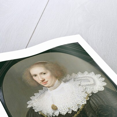 Portrait of a Lady with a Lace Collar and Pearls by Michiel Jansz. van Miereveld
