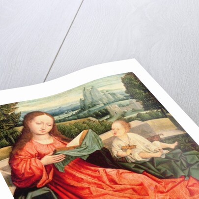 The Madonna and Child by Flemish School