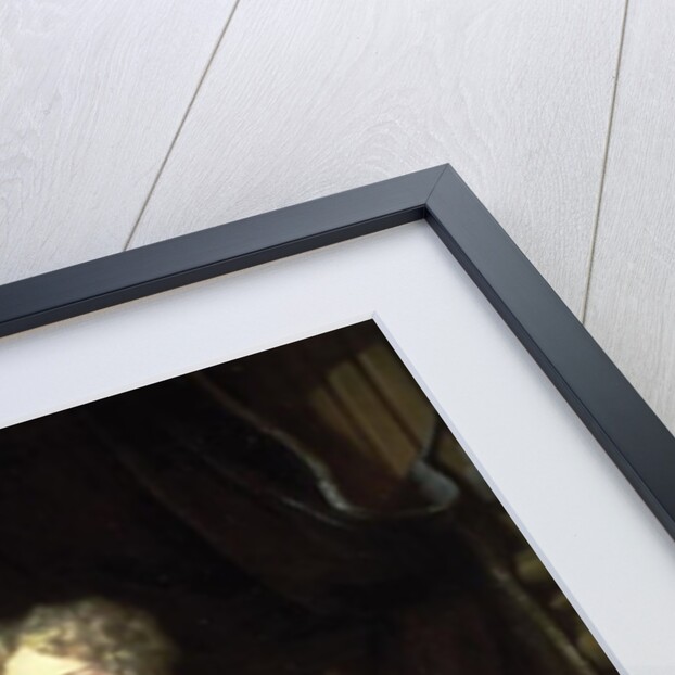 Portrait of a Lady holding her pet King Charles Spaniel by Jan Verkolje