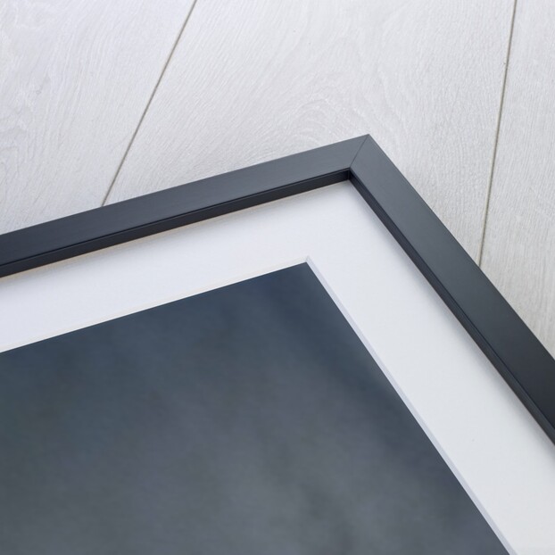 Wedding dress of Katharine Worsley, Duchess of Kent, 1961 by English School