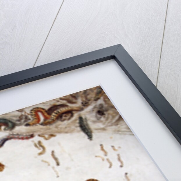 Garden and other spiders, caterpillars spell the artist's name, 1657 by Jan van the Elder Kessel