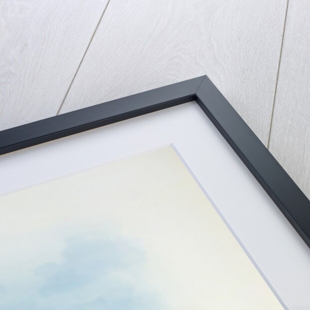 Humming Bird by John & Richter Henry Constantine (1821-1902) (after) Gould