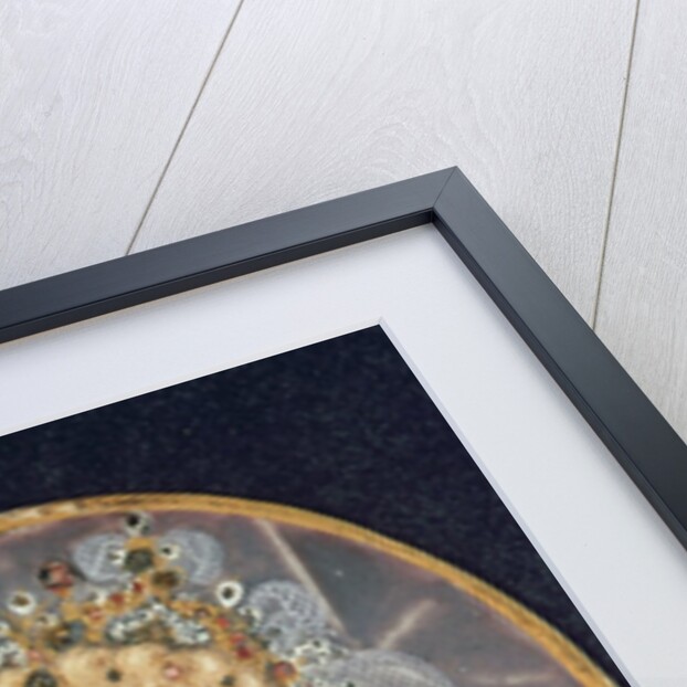 Queen Elizabeth I, c.1595-1600 by Nicholas Hilliard