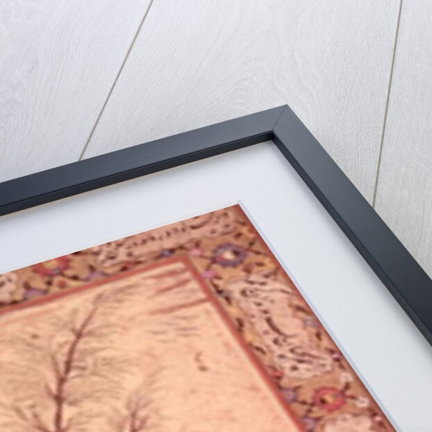 A Barbet Jahangir Period, Mughal, 1615 by Mansur