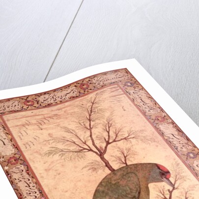 A Barbet Jahangir Period, Mughal, 1615 by Mansur