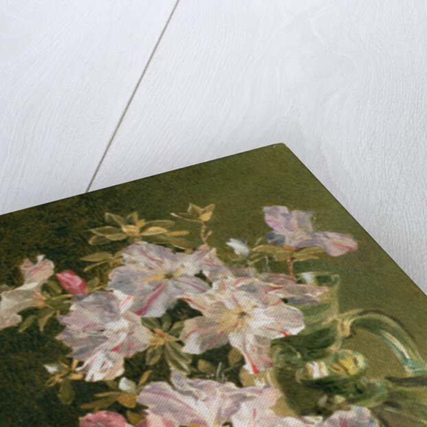 Azaleas in a Jug by Maud Naftel