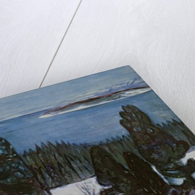 Winter Night, c.1900 by Edvard Munch