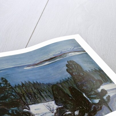 Winter Night, c.1900 by Edvard Munch