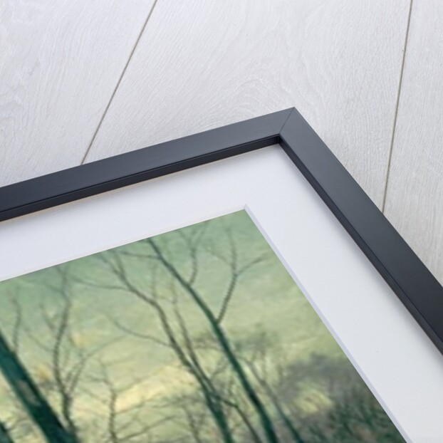 Malvern Woods by David Bates