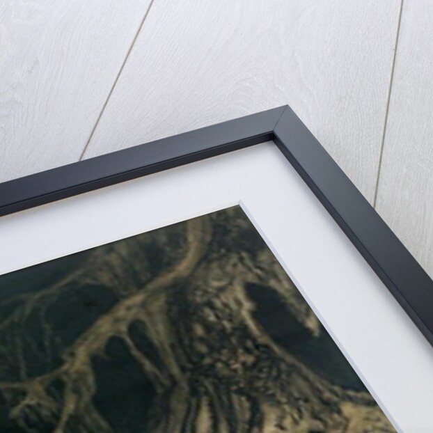 The Wooing of Grimhilde, the mother of Hagen by Arthur Rackham