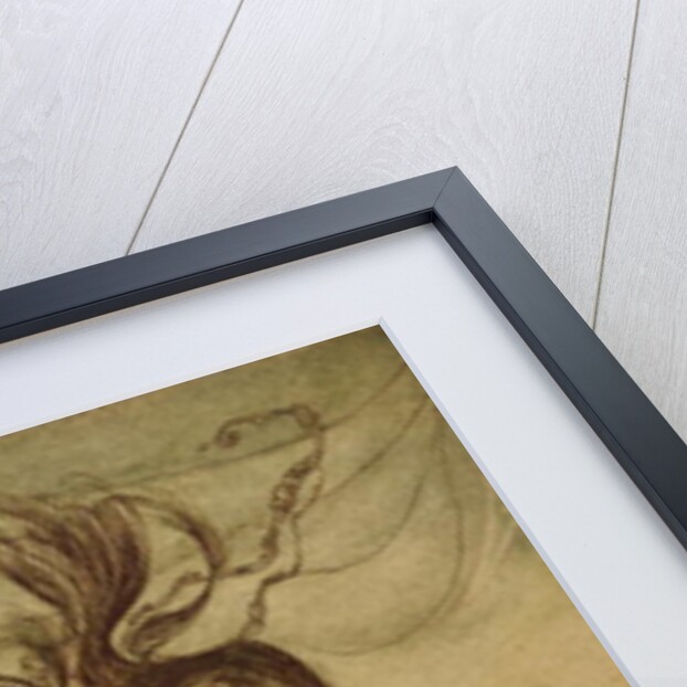 The Rhinemaidens teasing Alberich by Arthur Rackham