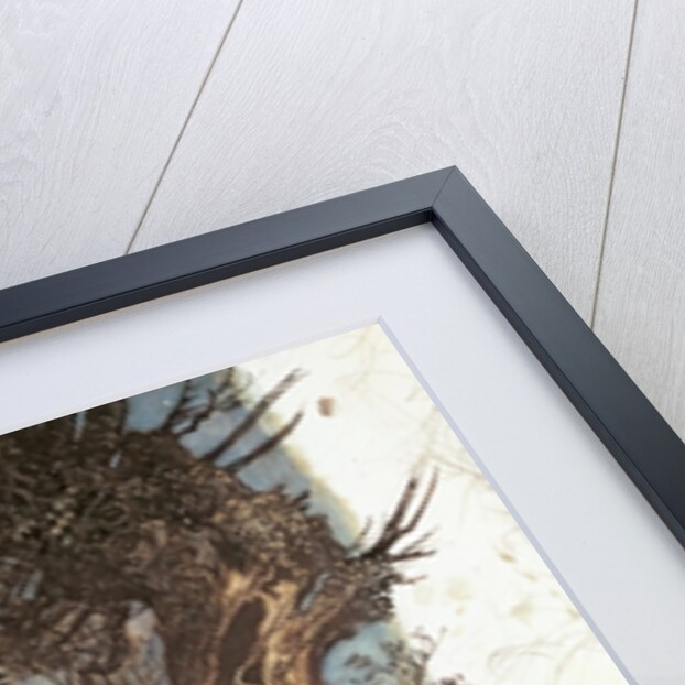 Never so weary, never so woeful by Arthur Rackham