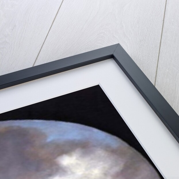 A River Landscape with Fishermen Hauling in Nets by Joost de Volder