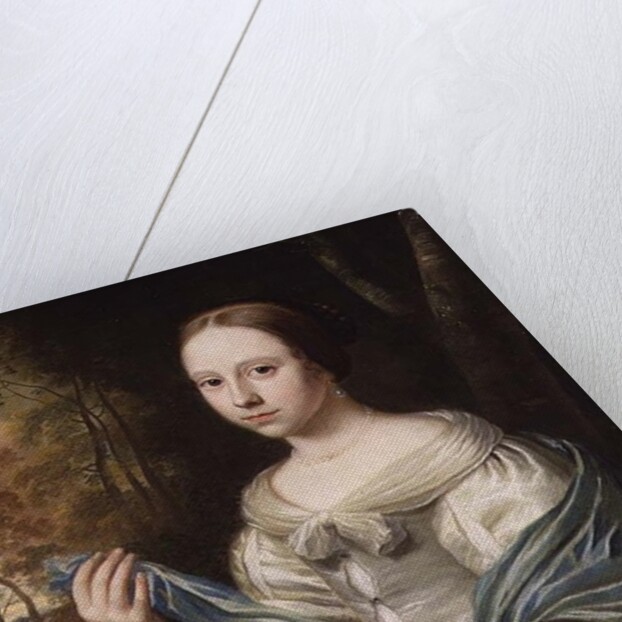 Portrait of a Lady, 1671 by Wallerant Vaillant