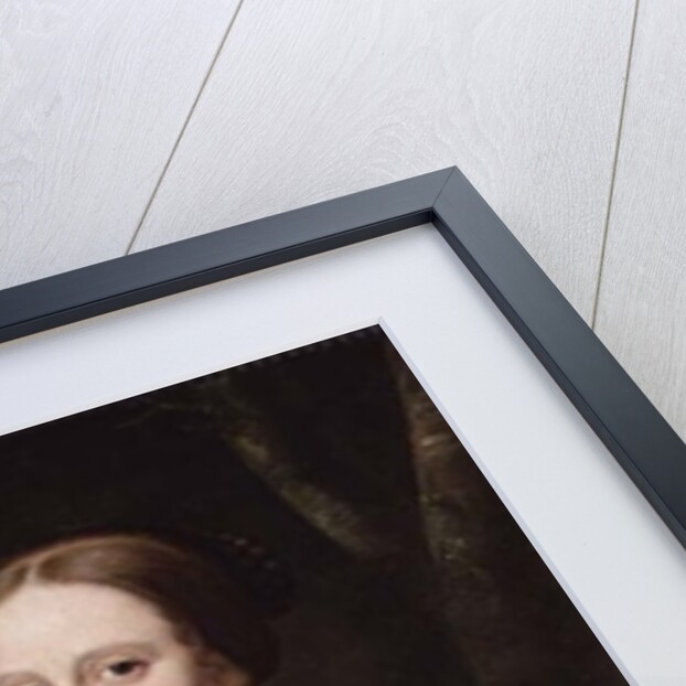 Portrait of a Lady, 1671 by Wallerant Vaillant