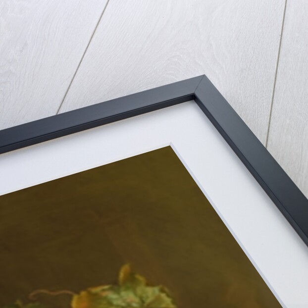 A Still Life of Melons, Grapes and Peaches on a Ledge by Jakob Bogdani or Bogdany