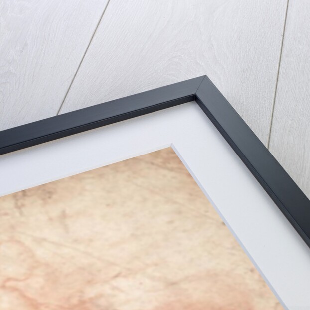 Study of a Male and Female Nude by Michelangelo Buonarroti