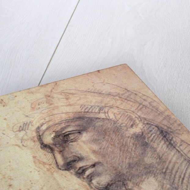 Study of a Head by Michelangelo Buonarroti