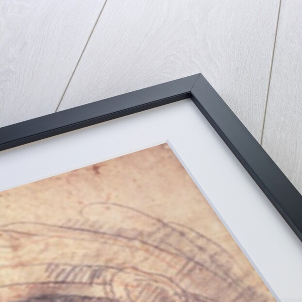 Study of a Head by Michelangelo Buonarroti