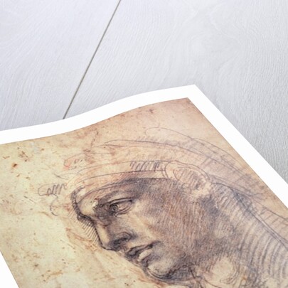 Study of a Head by Michelangelo Buonarroti