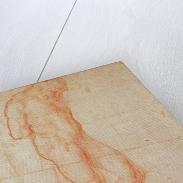 Study of a Nude by Michelangelo Buonarroti