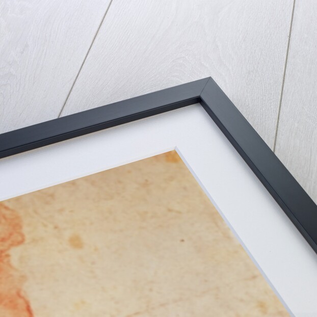 Study of a Nude by Michelangelo Buonarroti