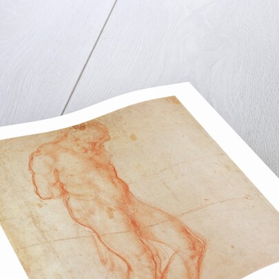 Study of a Nude by Michelangelo Buonarroti